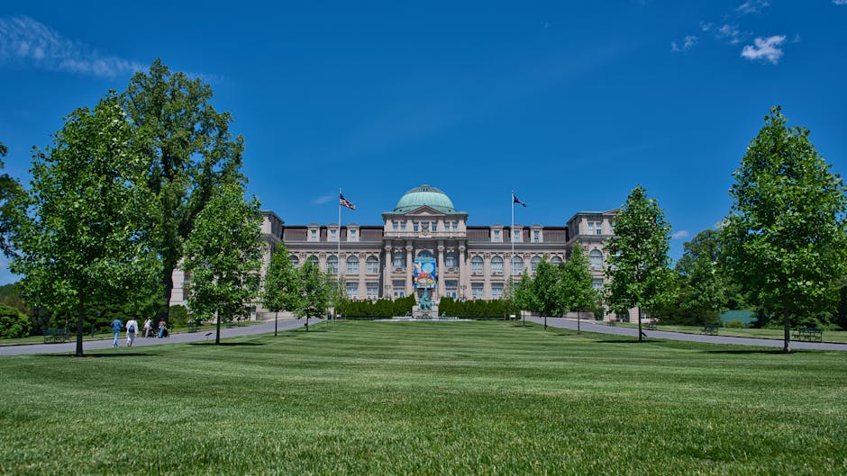 Where to Buy Art in The Bronx NYC: Best Galleries, Print Shops & Markets