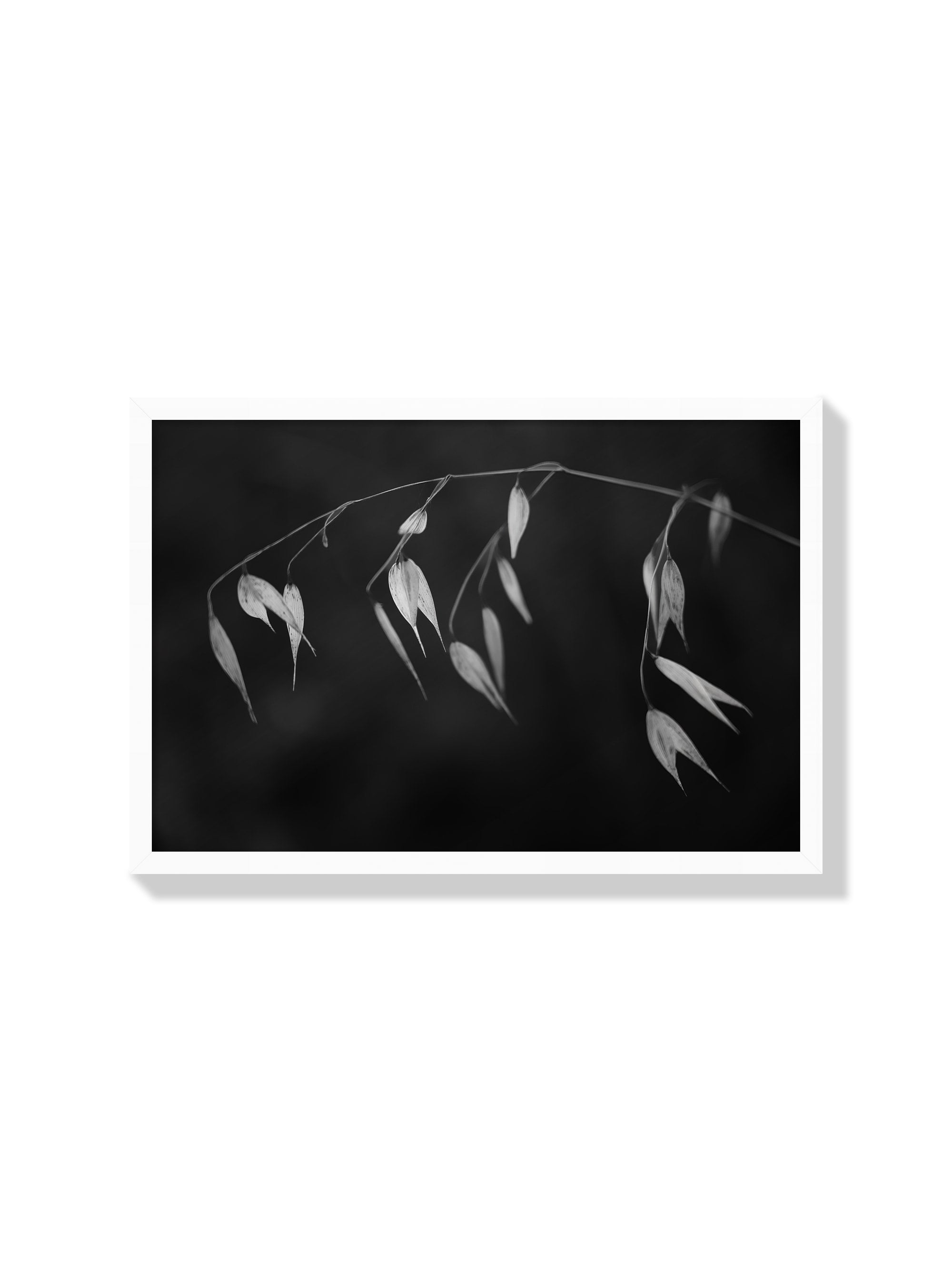 In light of current events II - Tal Paz-Fridman - White Frame |frame=White Frame|