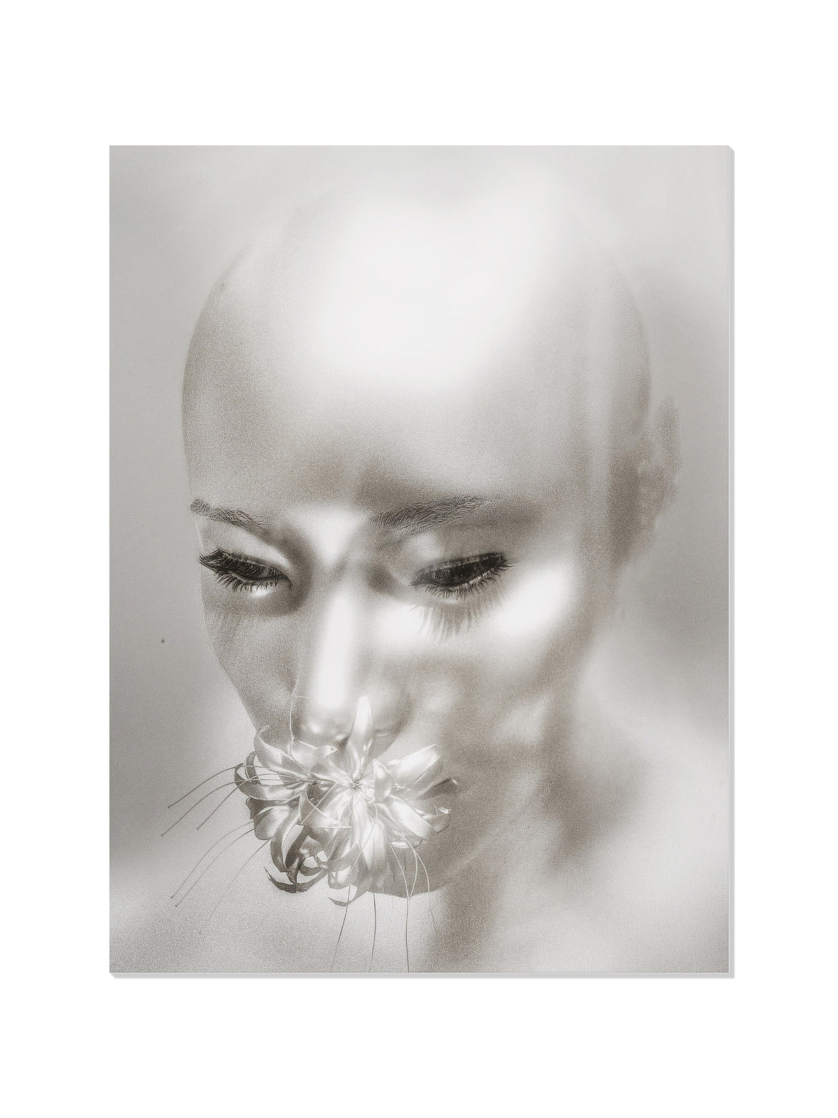 All Flowers In Time Bend Towards The Sun II - Denisa Rahma - Unframed |frame=Unframed|