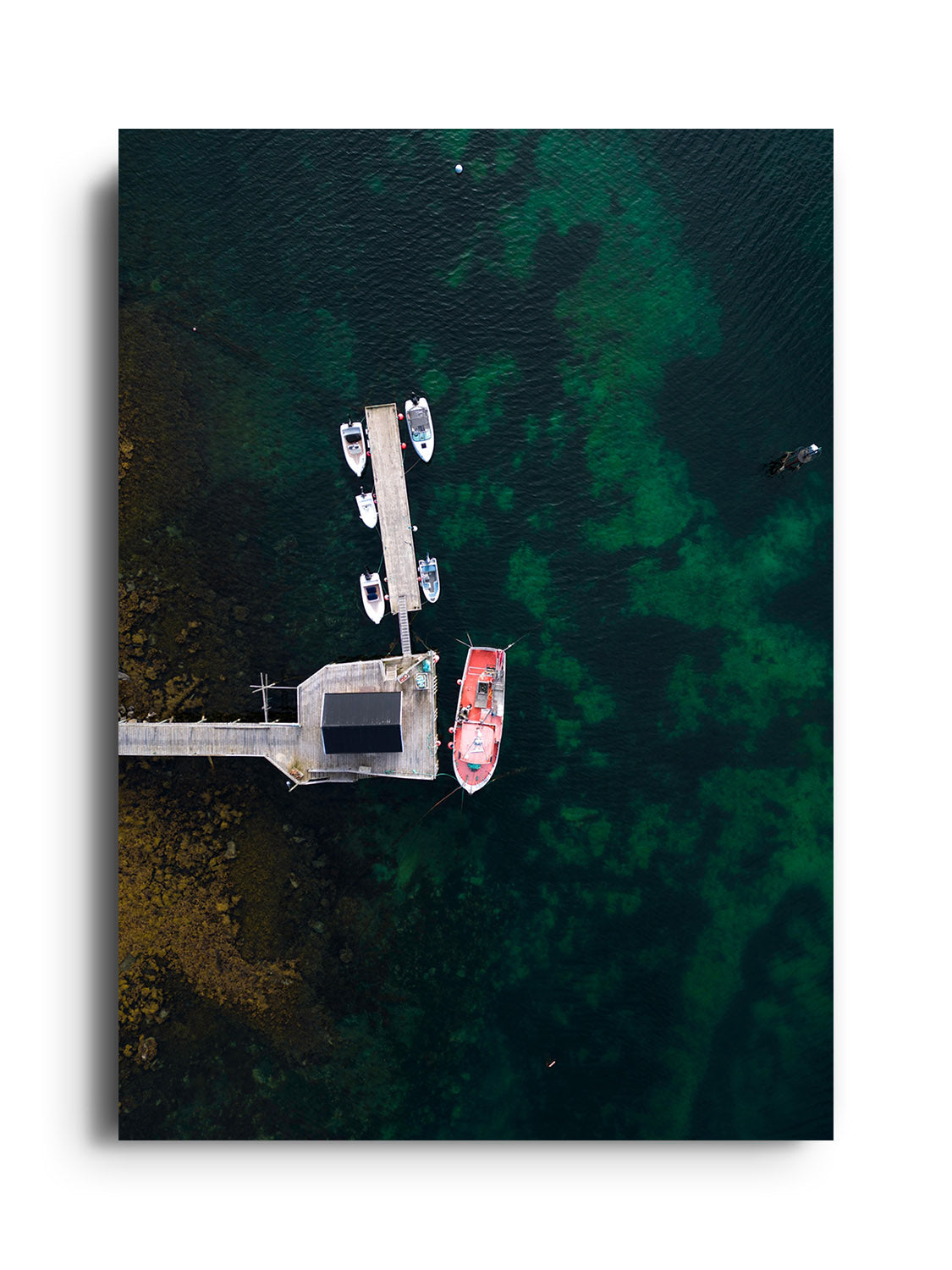 Reine IV - Victoria Benjafield