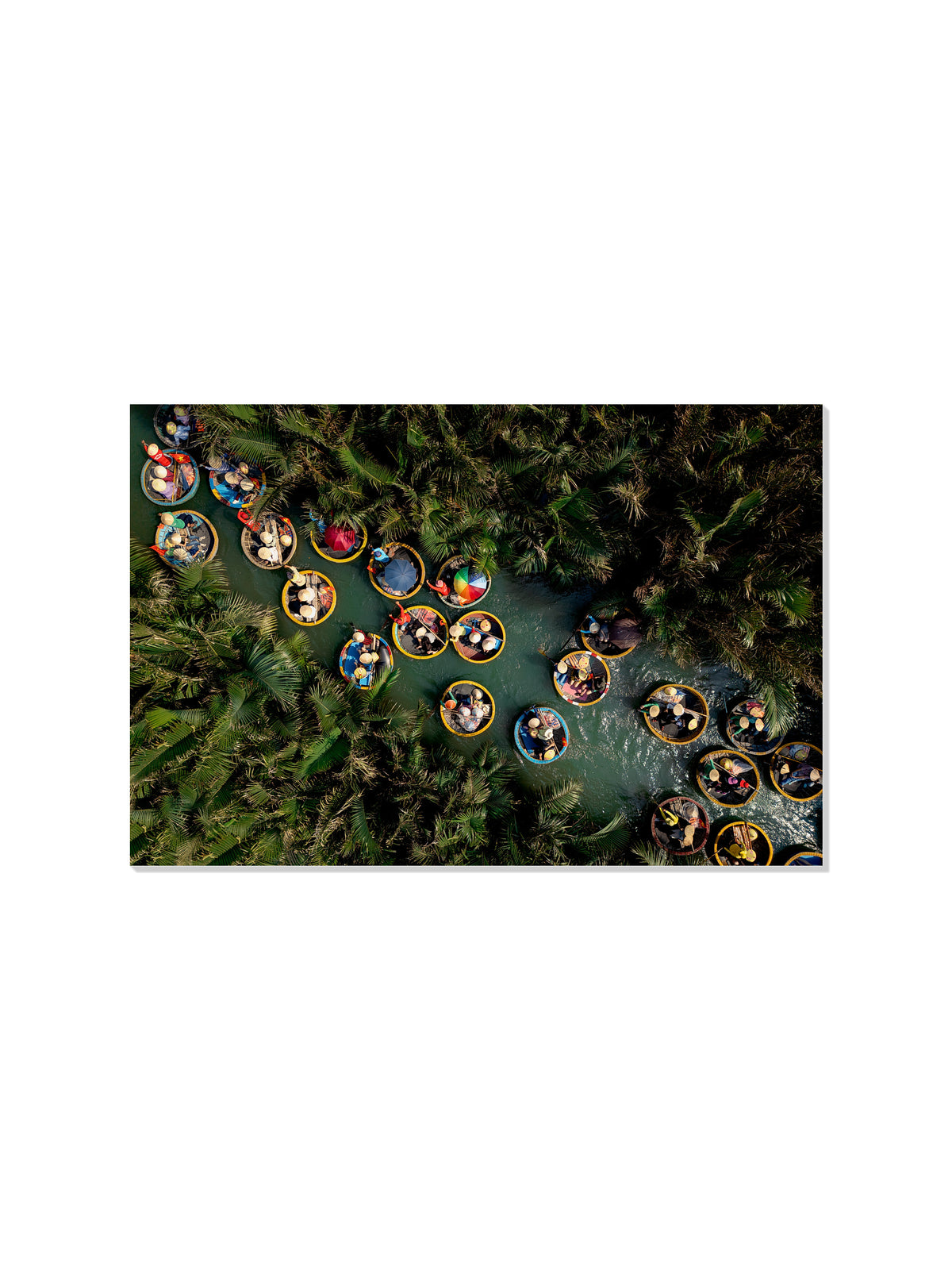 Basket Boats - Michael Green - Unframed |frame=Unframed|