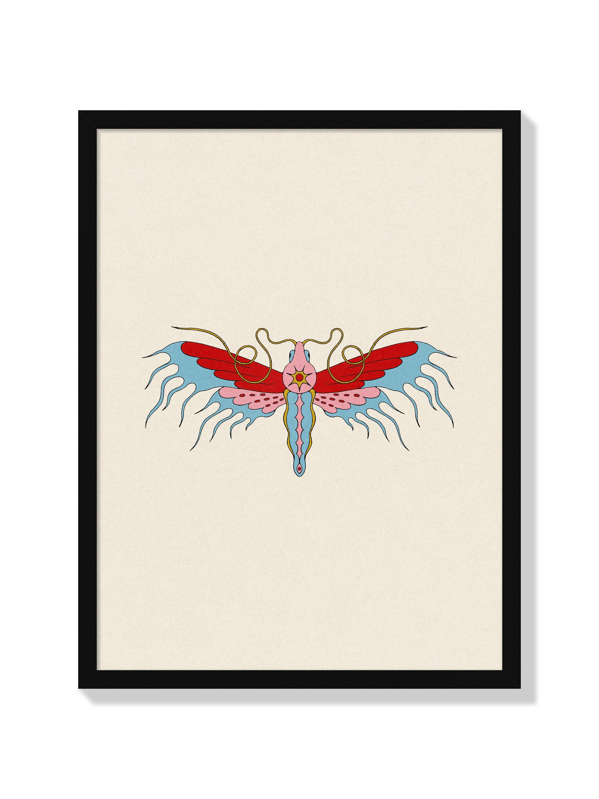 SYNANTHEDON TIPULIFORMIS - Maria Barrera - Black Frame |frame=Black Frame|