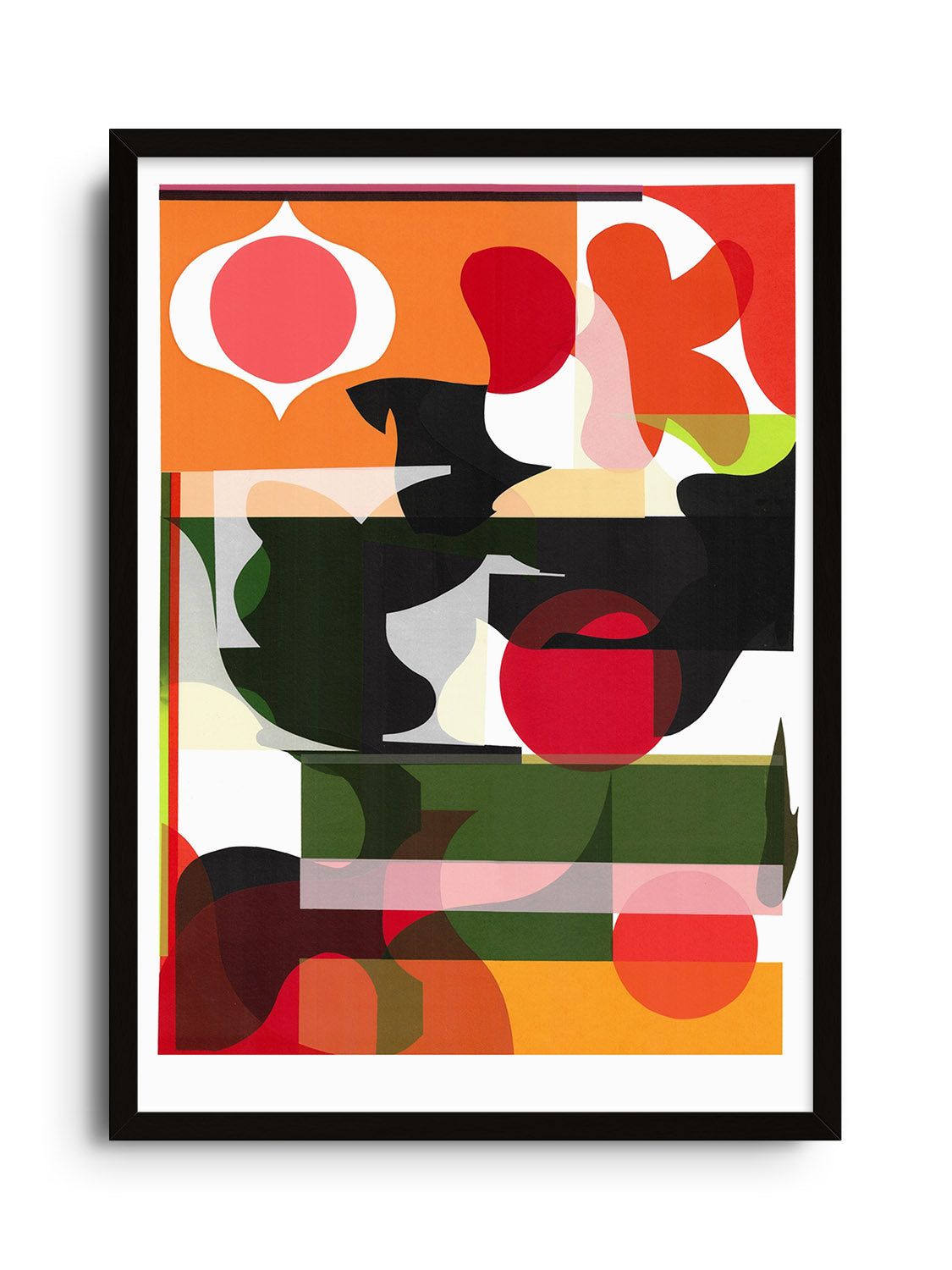 Paloma - Rikki Hewitt