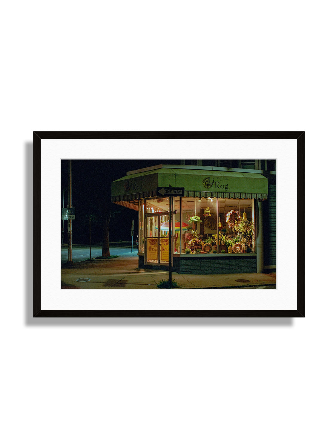 LiRog - Leland Foster