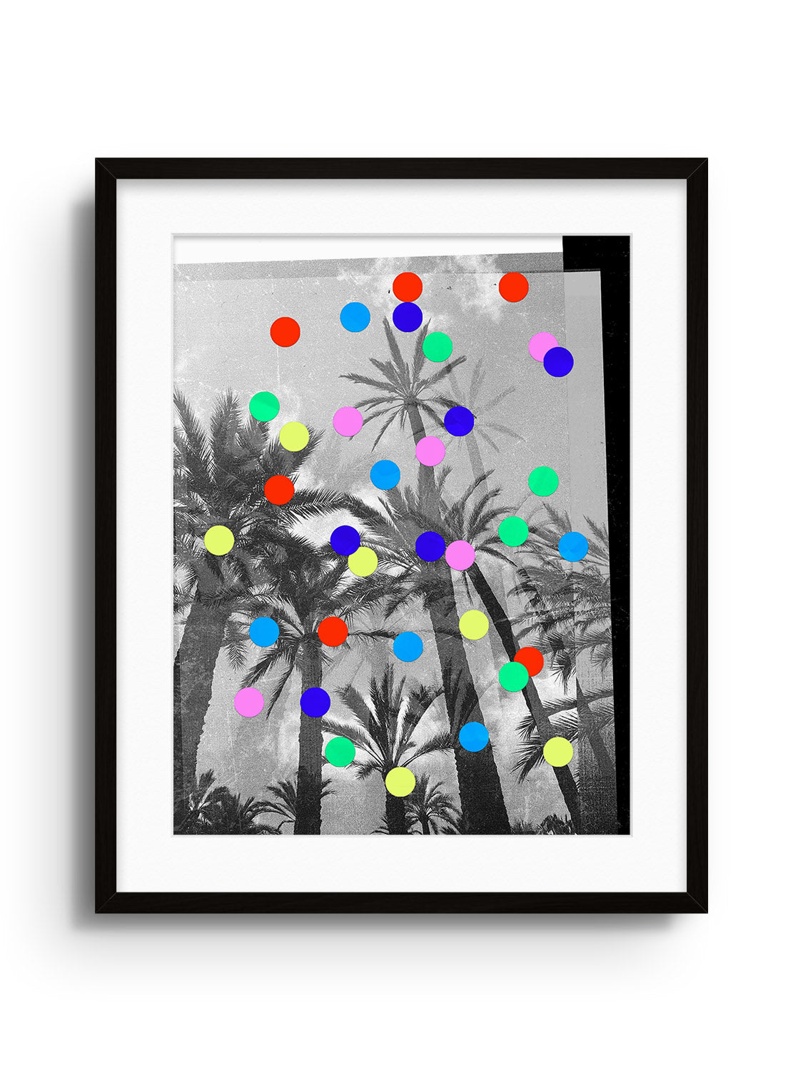 Confetti Palms - Sian Roper