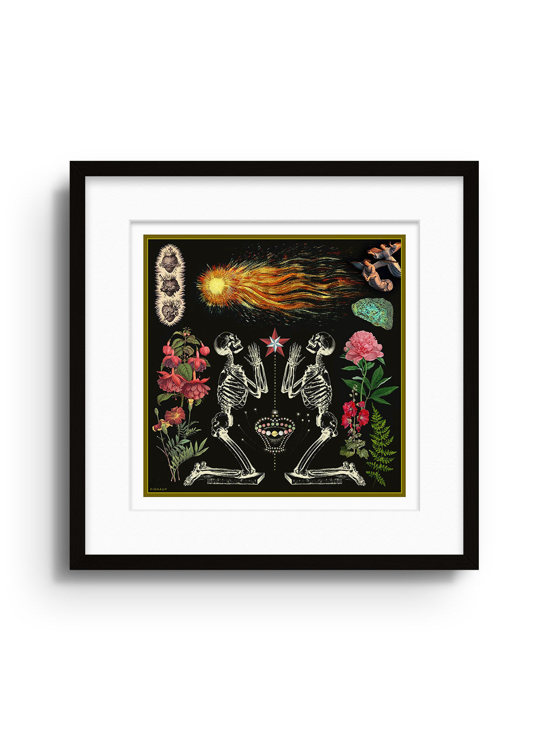 COMET - Louis Fishauf