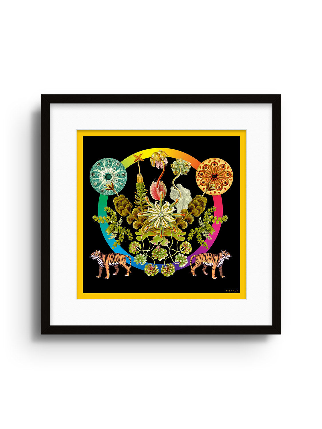 FLORA - Louis Fishauf