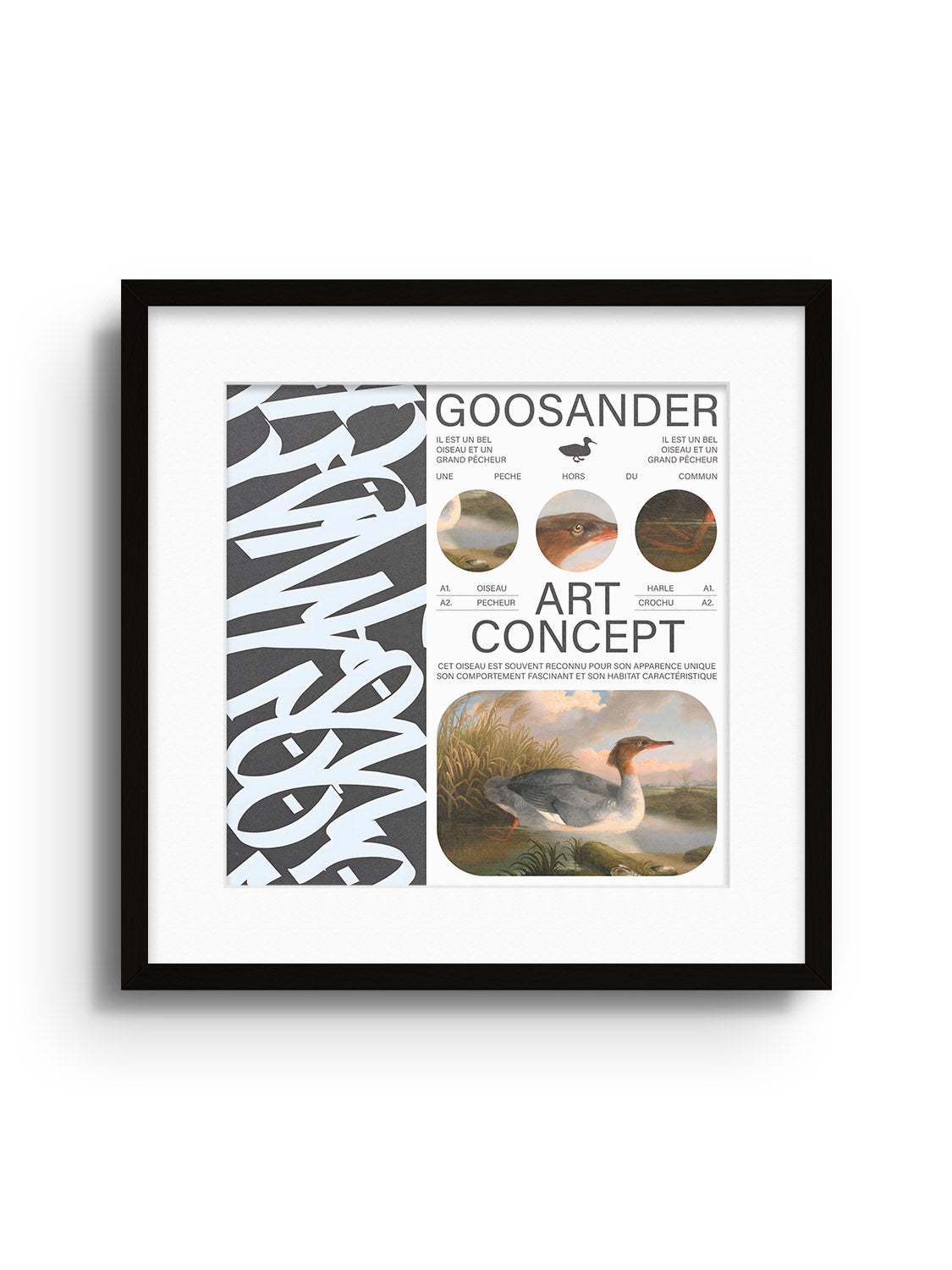 Goosander - Matéo Mace