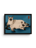 Kittens - Bel Mehta