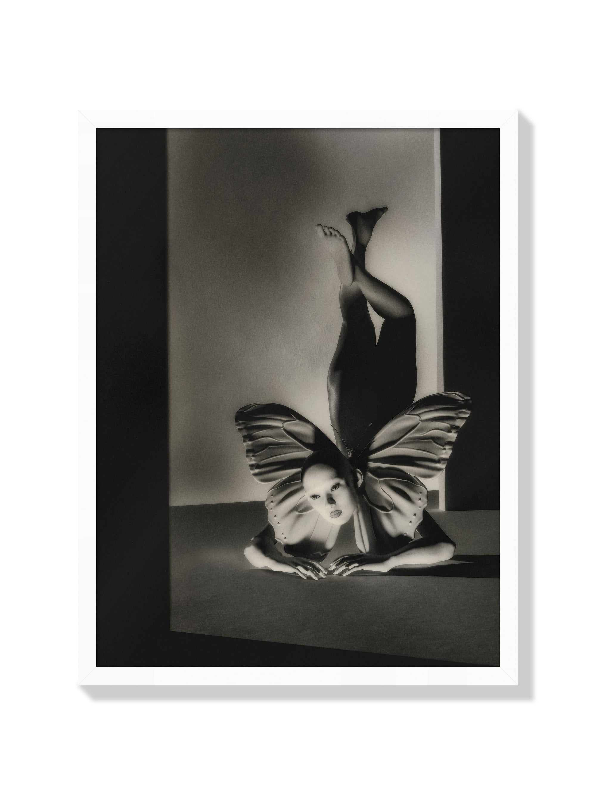 Metamorphosis Phase I - Denisa Rahma - White Frame |frame=White Frame|