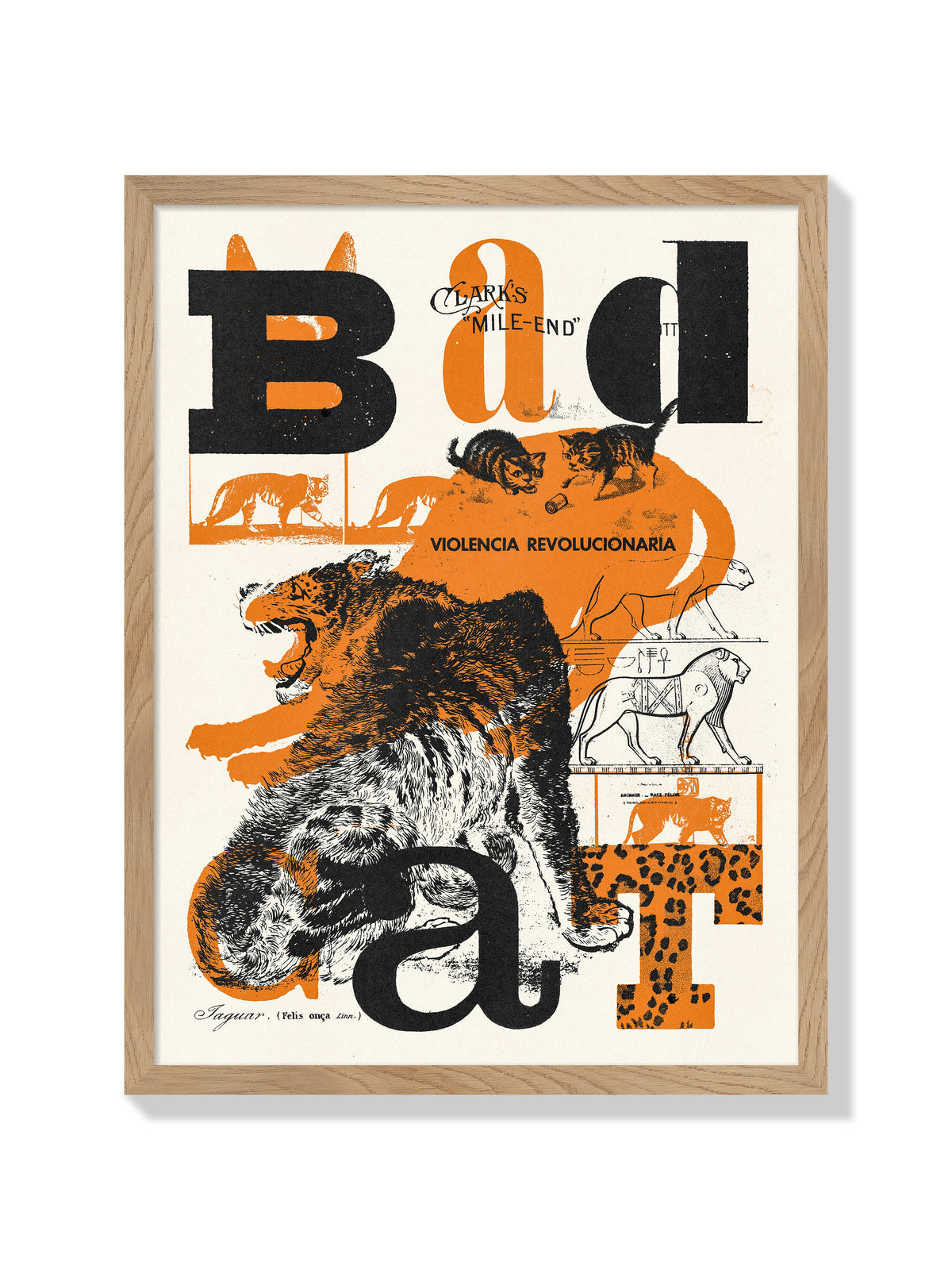 Bad Cat - Mateus Teixeira - Natural Frame |frame=Natural Frame|