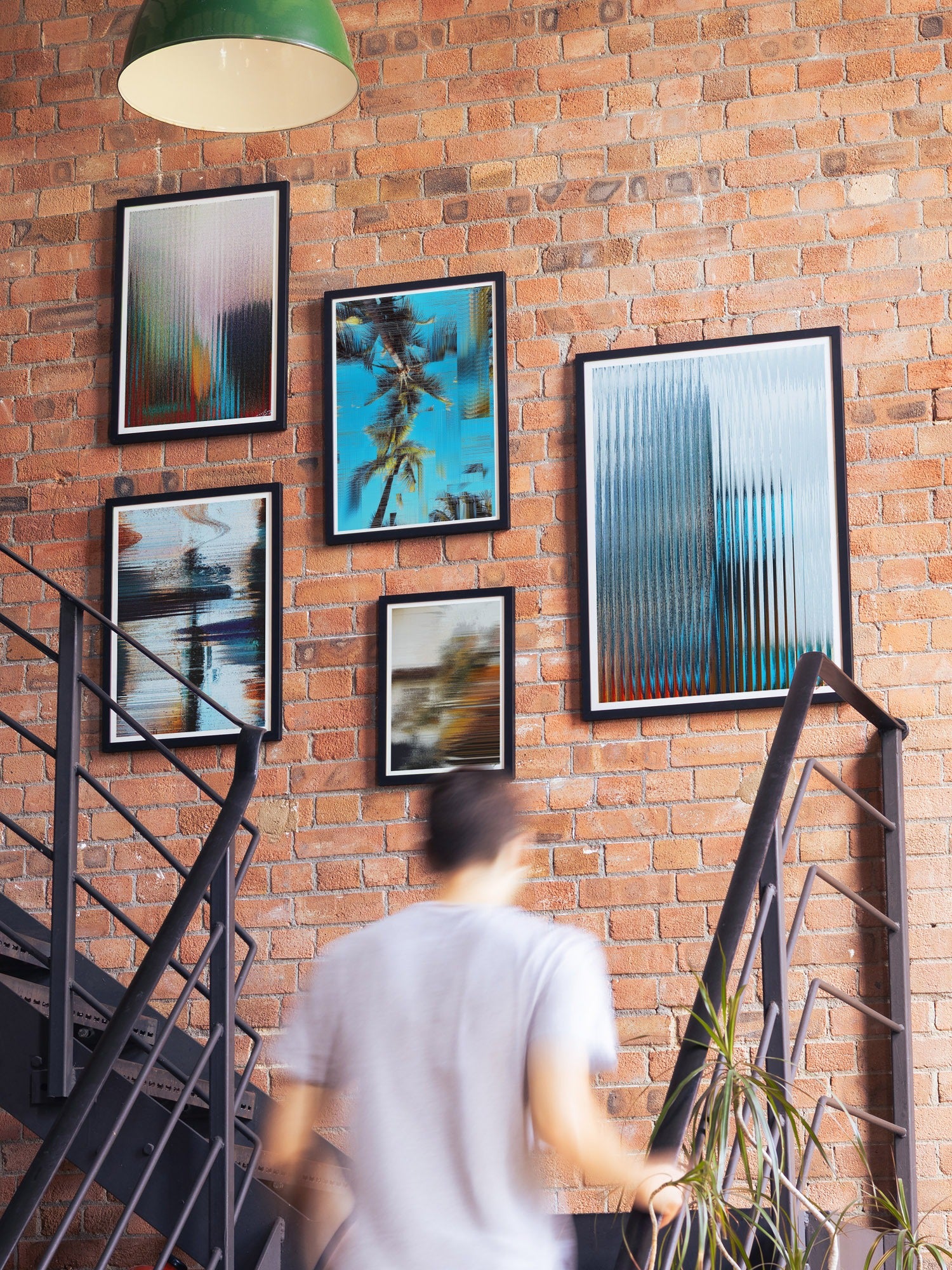 Arecaceae | Glitch 26.426 - Aaron Borchardt - Aaron Borchardt Gallery Wall |type=lifestyle|