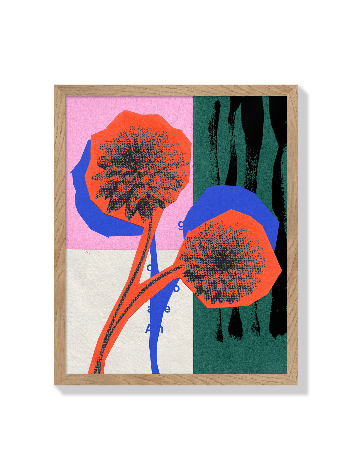 Dahlia Flower - Sian Roper - Natural Frame |frame=Natural Frame|