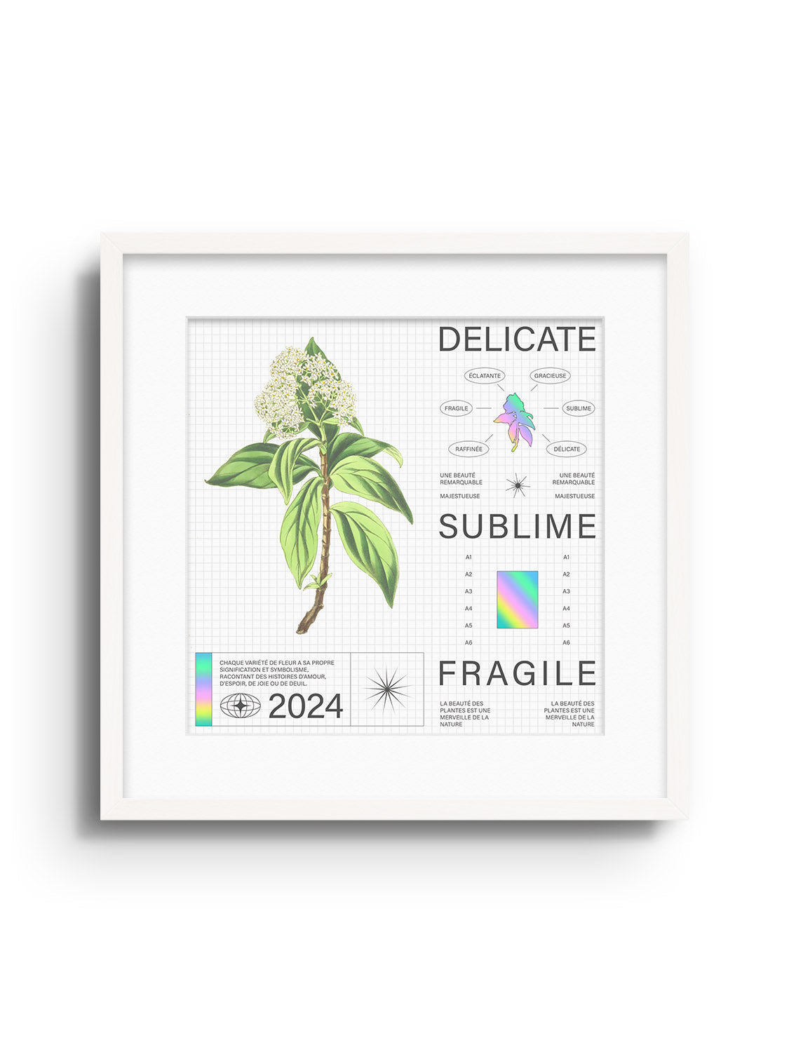 Delicate - Matéo Mace