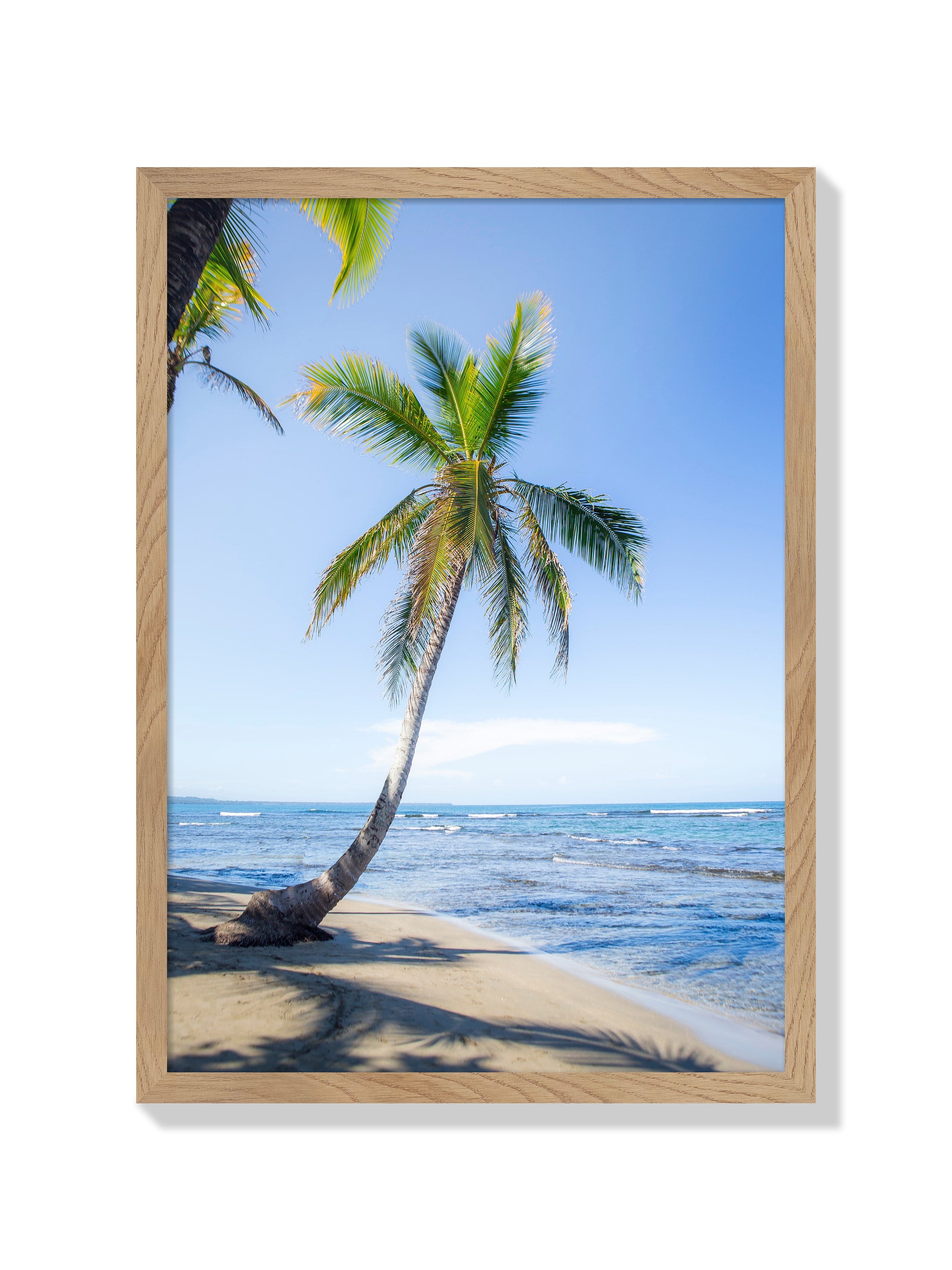 Panama Palm - Michael Green - Natural Frame |frame=Natural Frame|