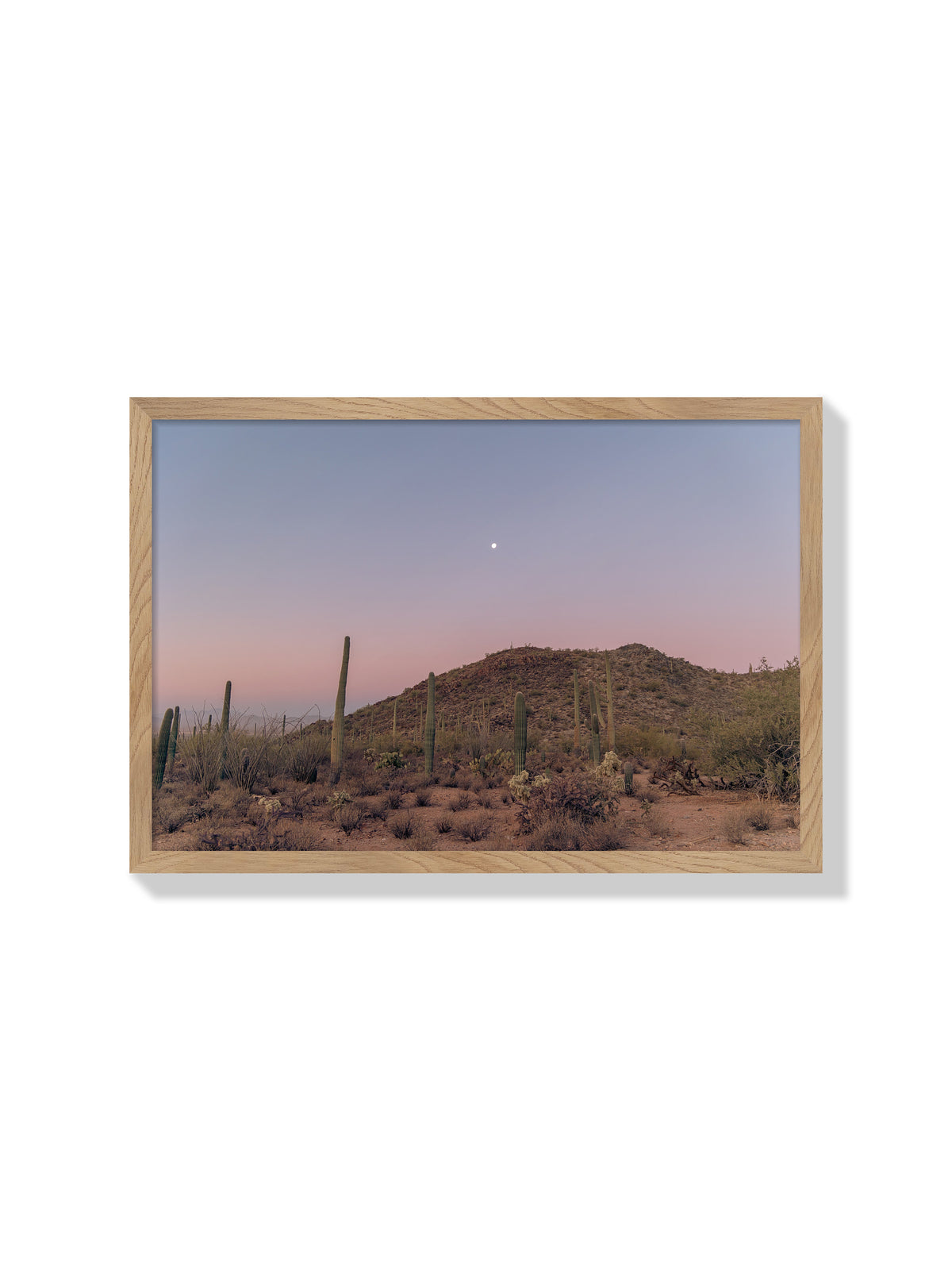 Desert Sunrise - Christina Bedetta Willett - Natural Frame |frame=Natural Frame|
