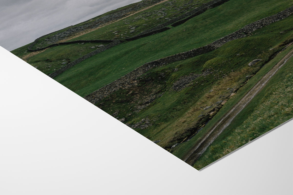 A Sheep on a Hill - Jonny Gleason - Fine Art Paper 200gsm |type=paper|
