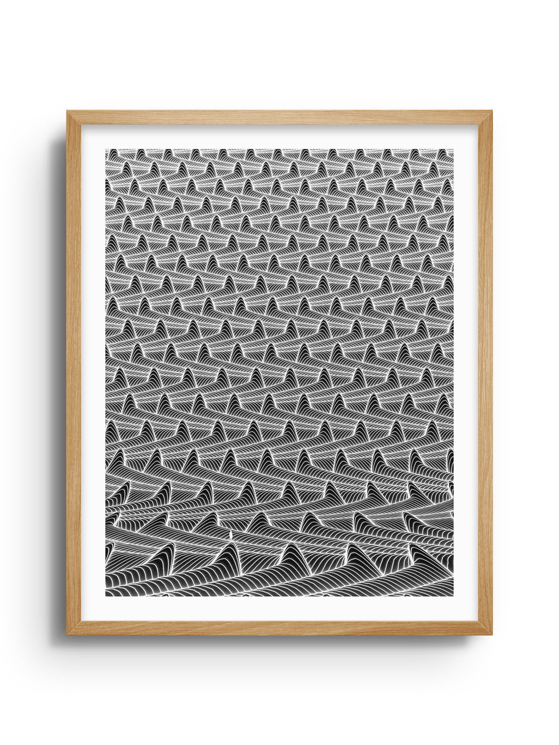 Illumination Harvest - Michael Strevens