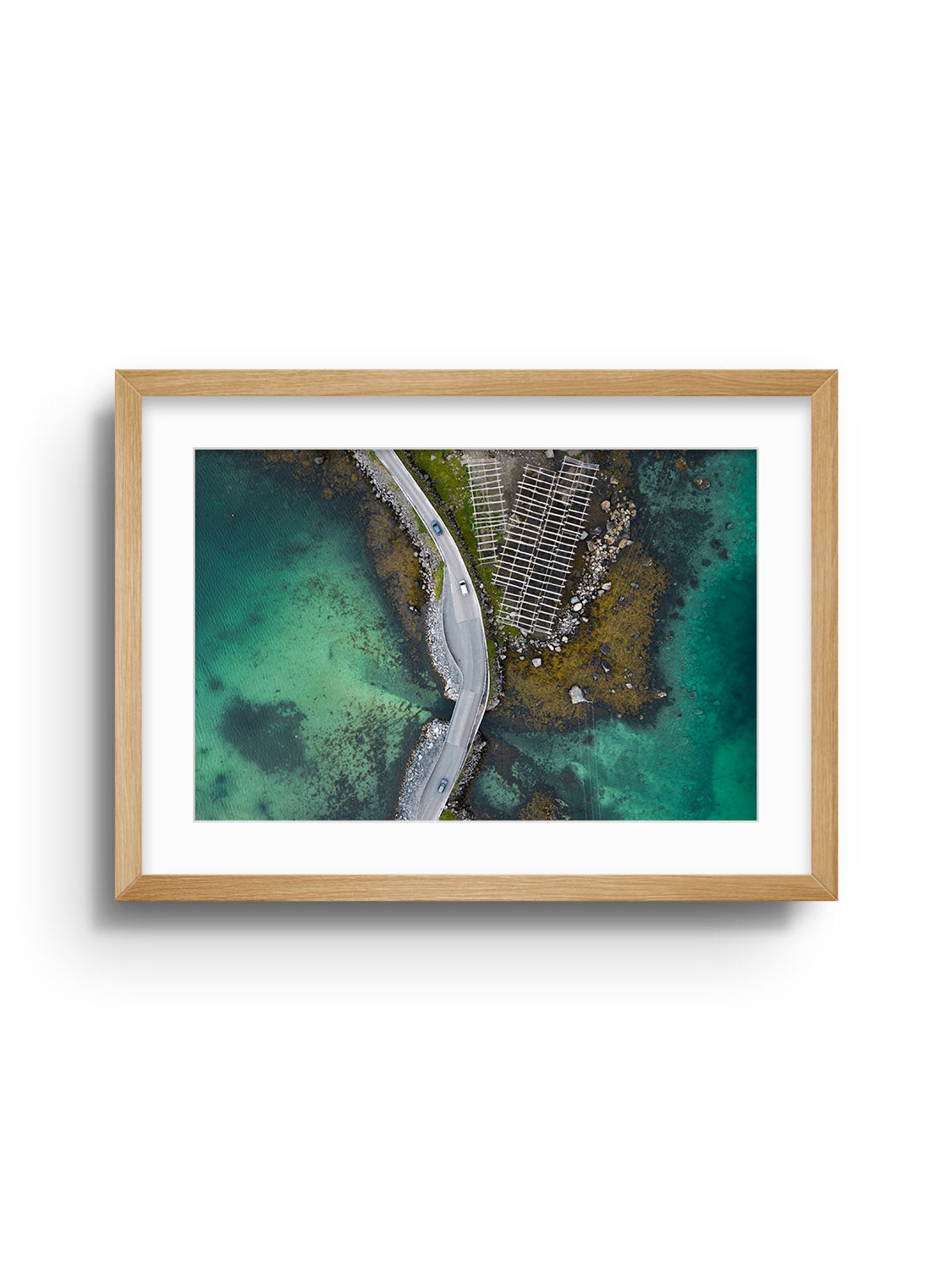 Reine V - Victoria Benjafield