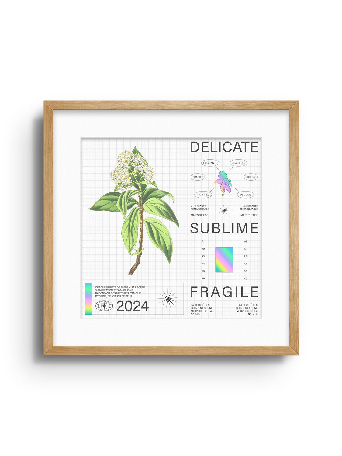 Delicate - Matéo Mace