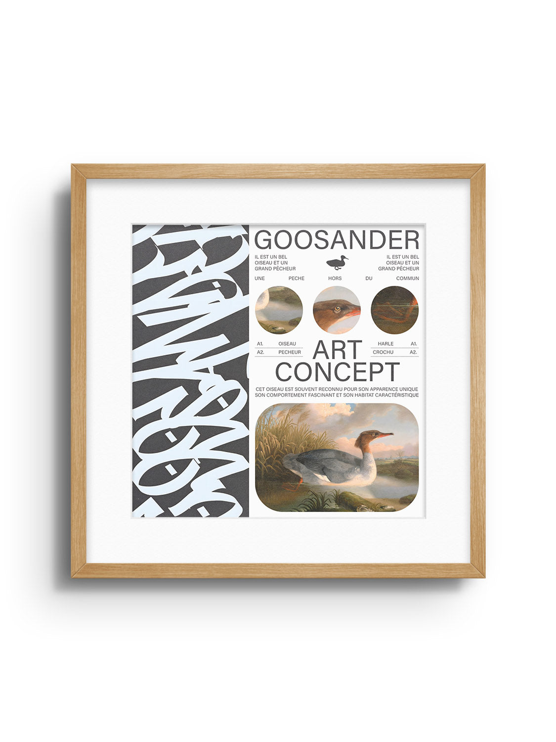 Goosander - Matéo Mace