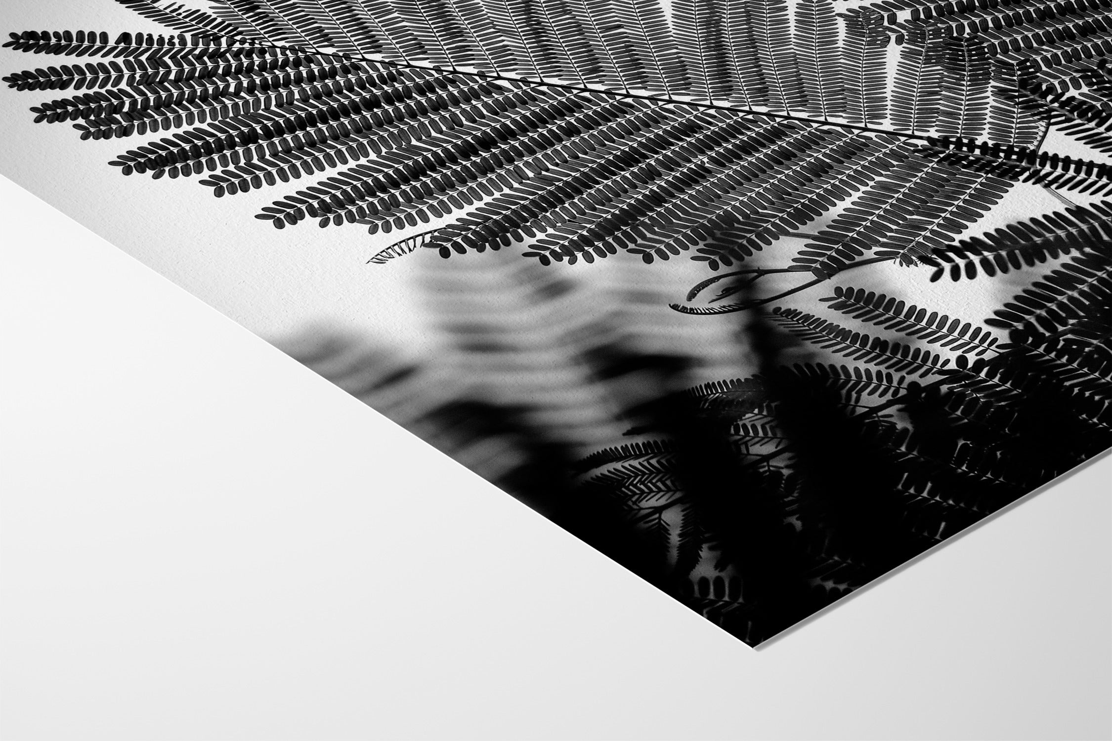 Natural Geometries I - Tal Paz-Fridman - Hahnemuhle German Etching 310gsm |type=lifestyle|