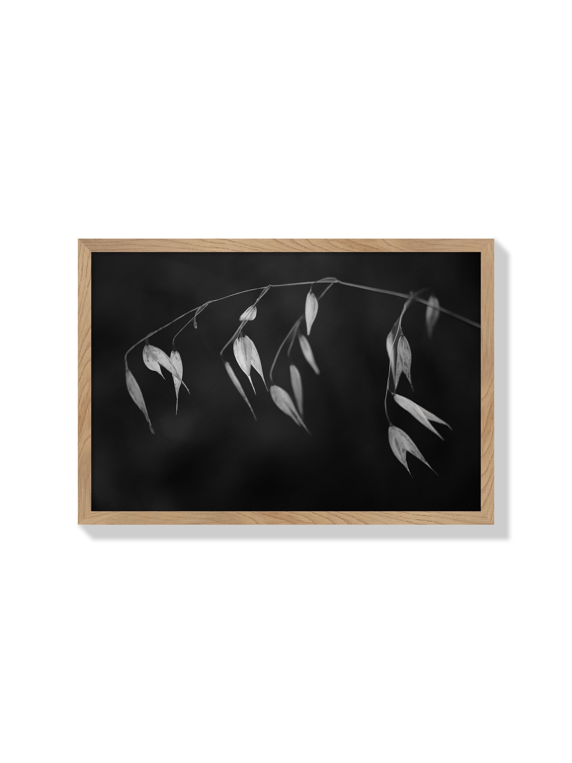 In light of current events II - Tal Paz-Fridman - Natural Frame |frame=Natural Frame|