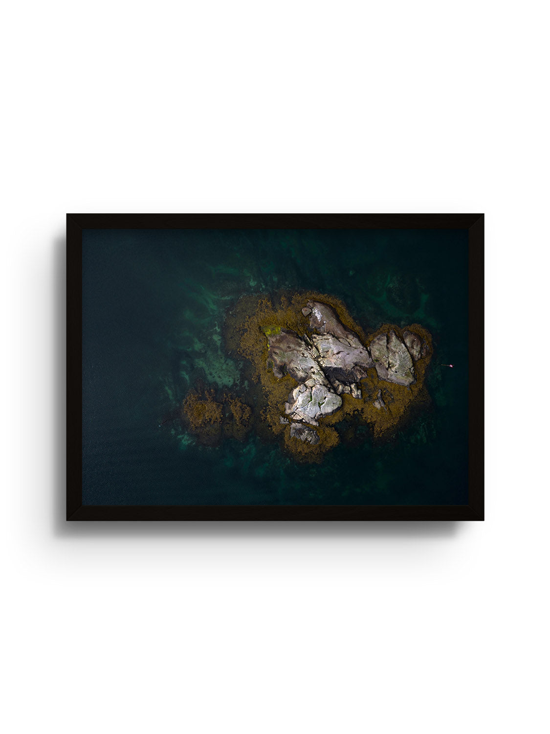 Reine II - Victoria Benjafield