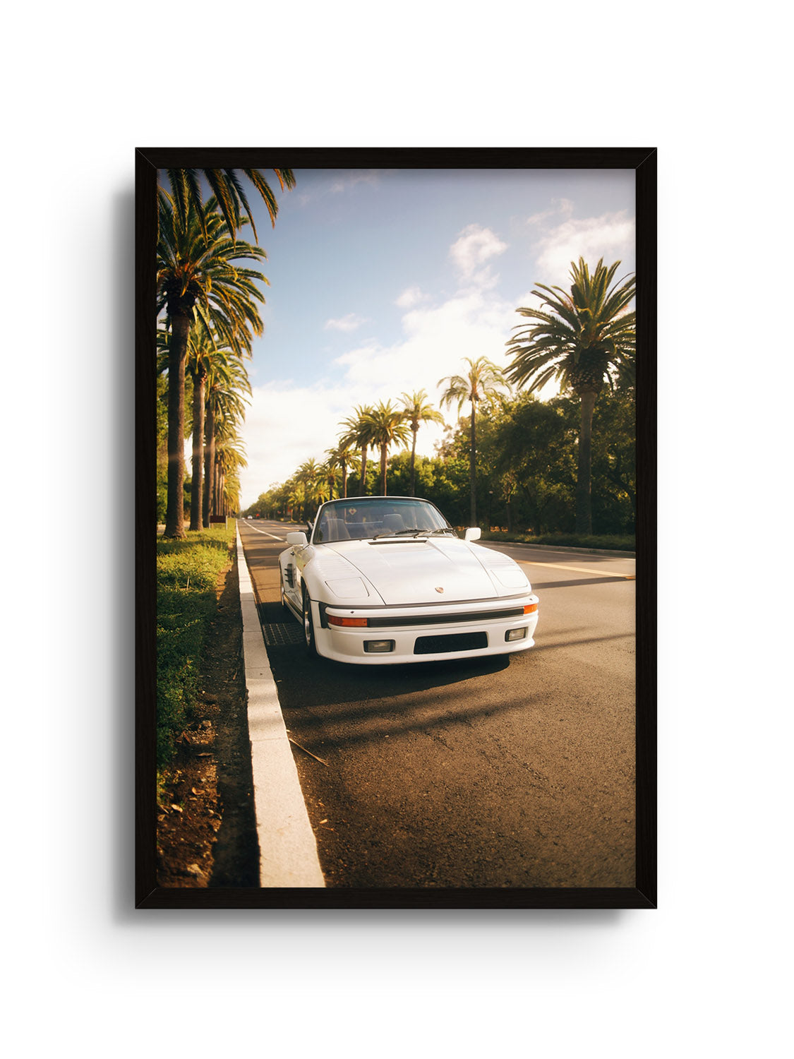 Palms & Porsche - Gelstang