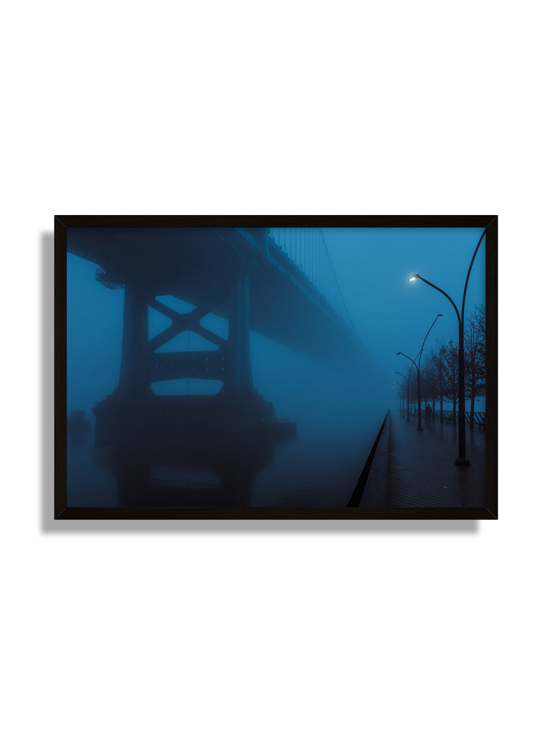 Benjamin Franklin Bridge - Leland Foster