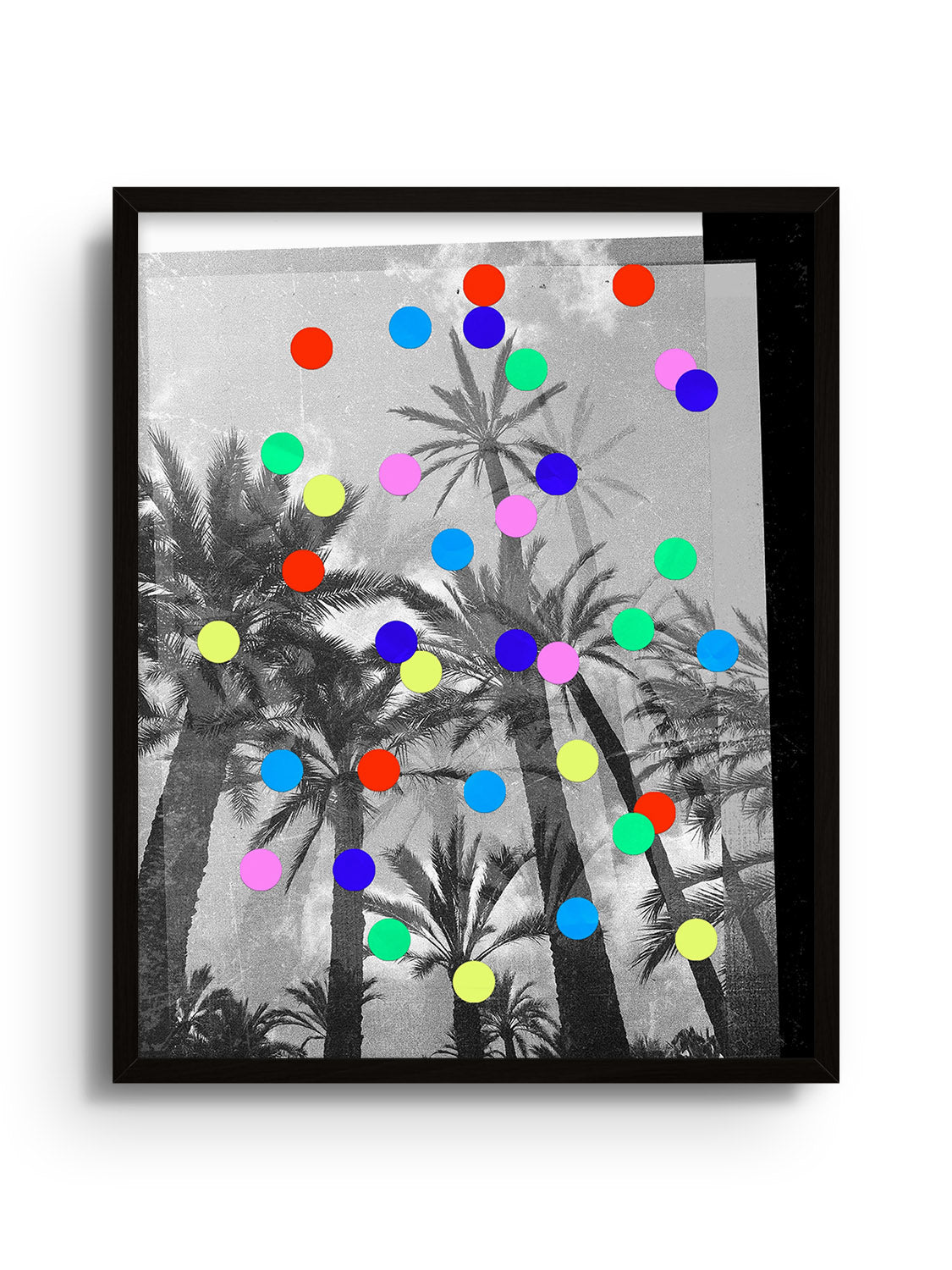 Confetti Palms - Sian Roper
