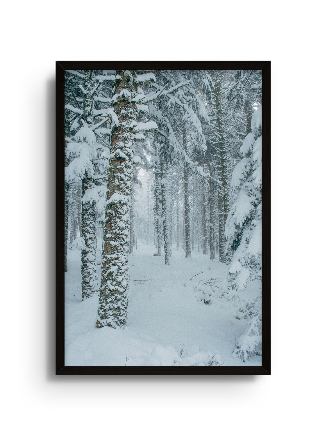 Snowdonia - Valentin Meaux