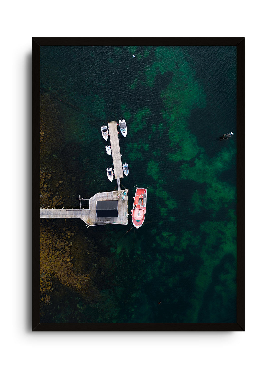 Reine IV - Victoria Benjafield