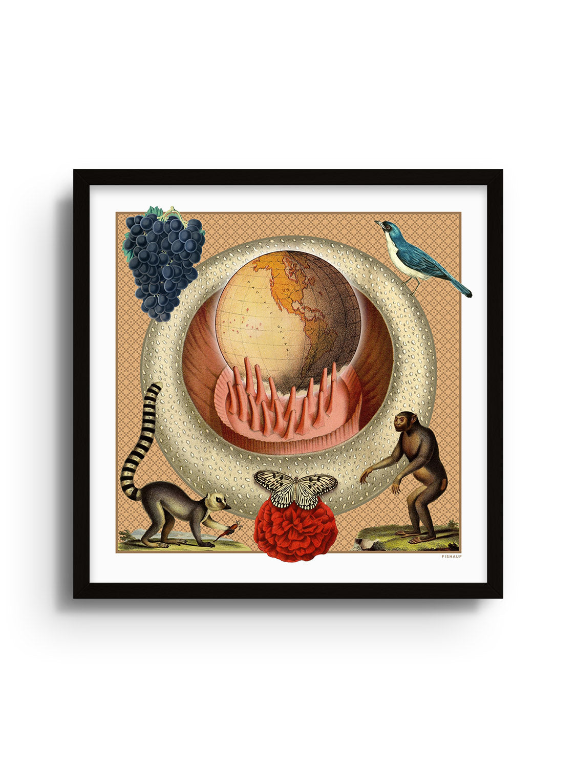 TERRA - Louis Fishauf