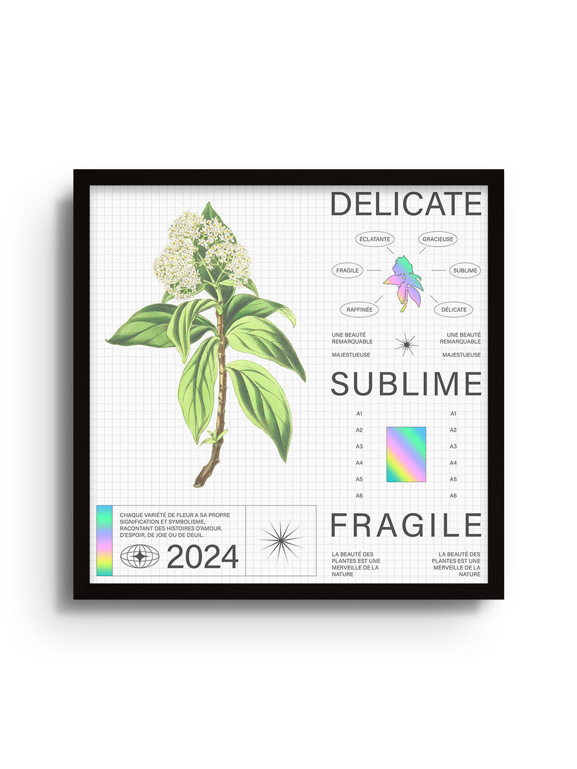 Delicate - Matéo Mace