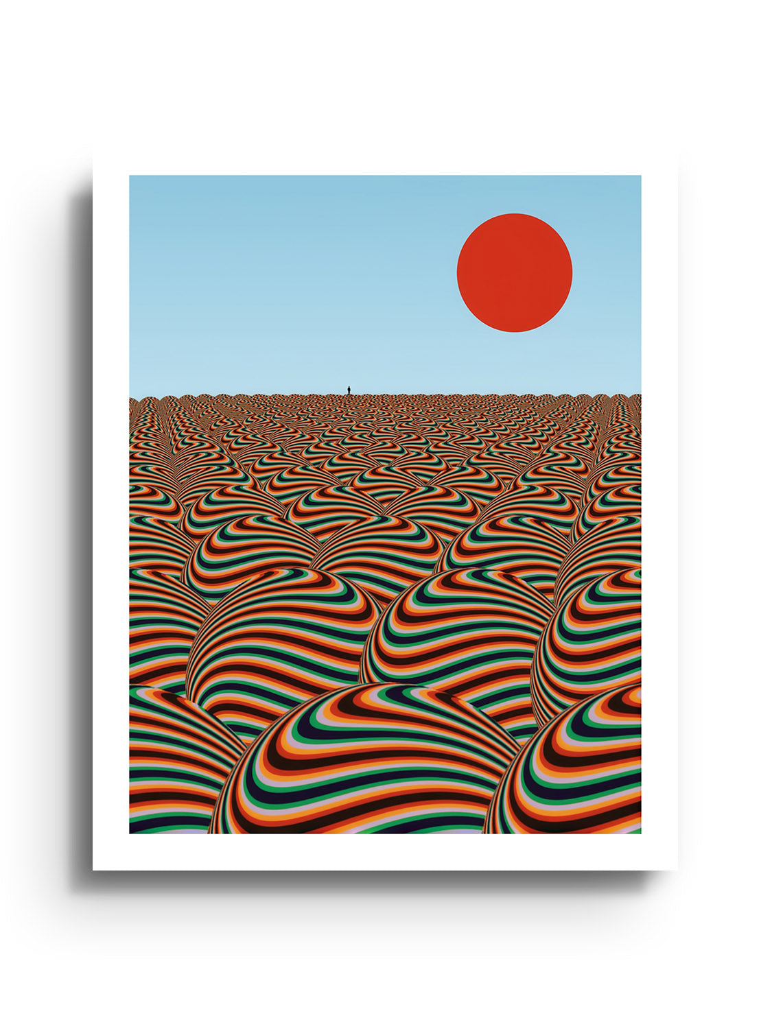 Fields That Remember - Michael Strevens