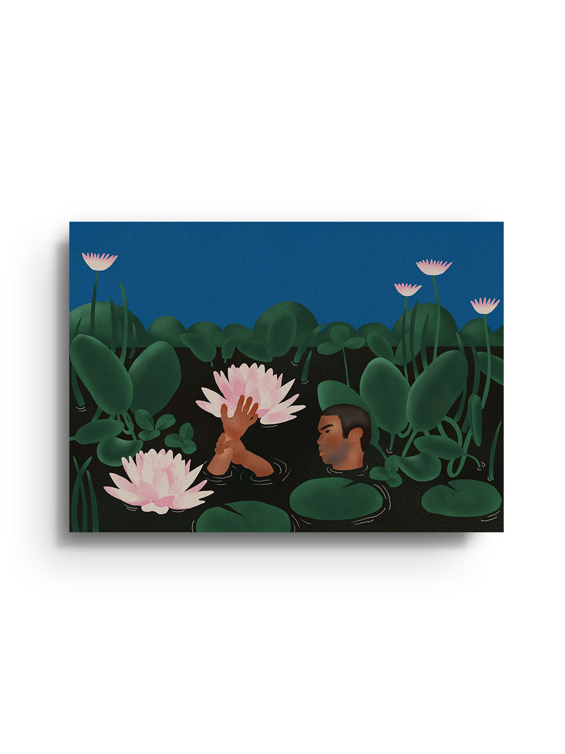 The Pond - Bel Mehta