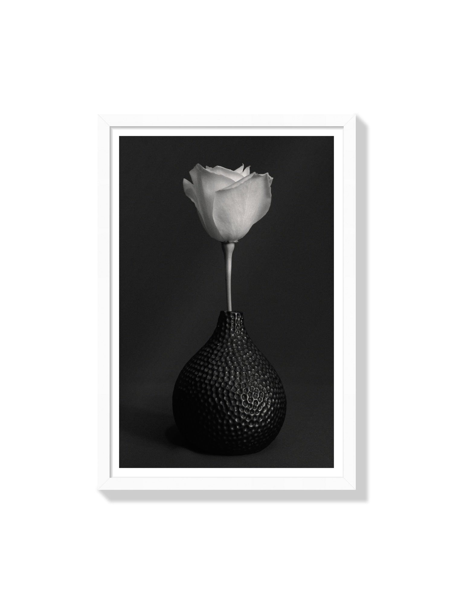 "Composure" by Will Arden, fine art print in white frame |frame=White Frame|