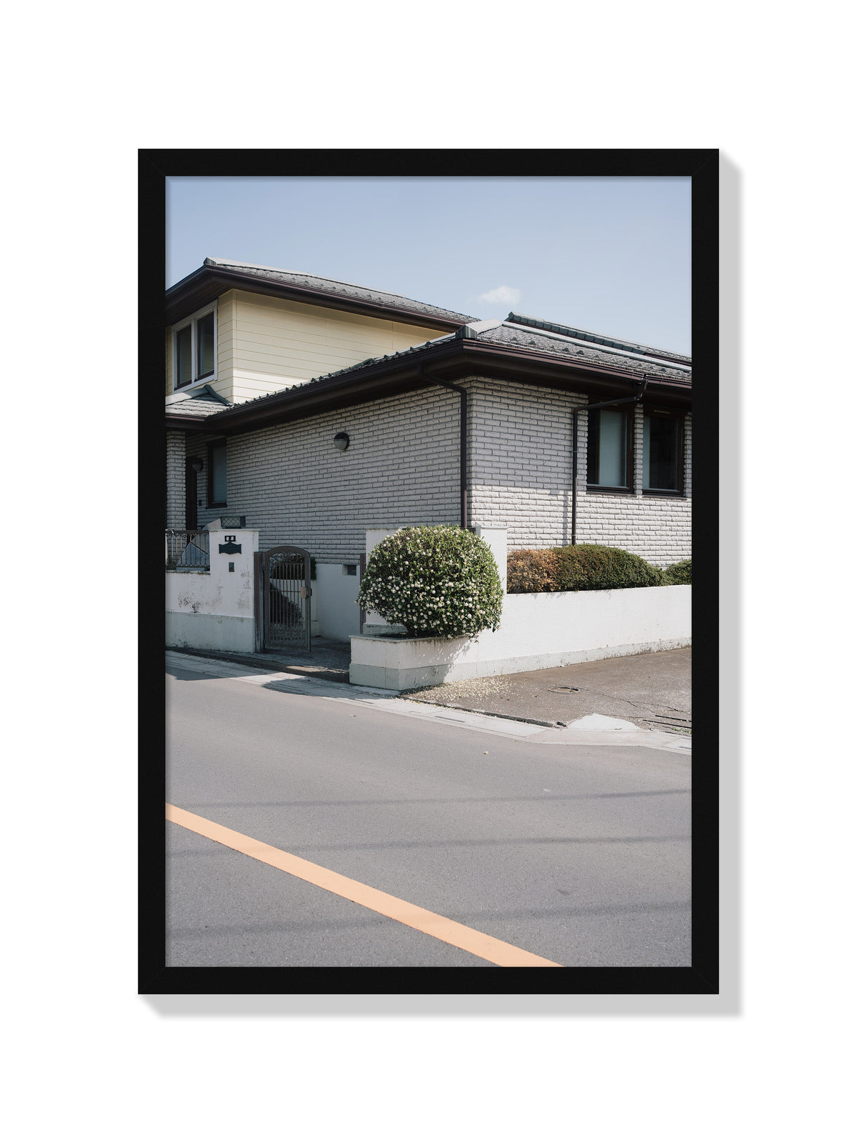 Fallen Petals - Jonny Gleason - Black Frame |frame=Black Frame|
