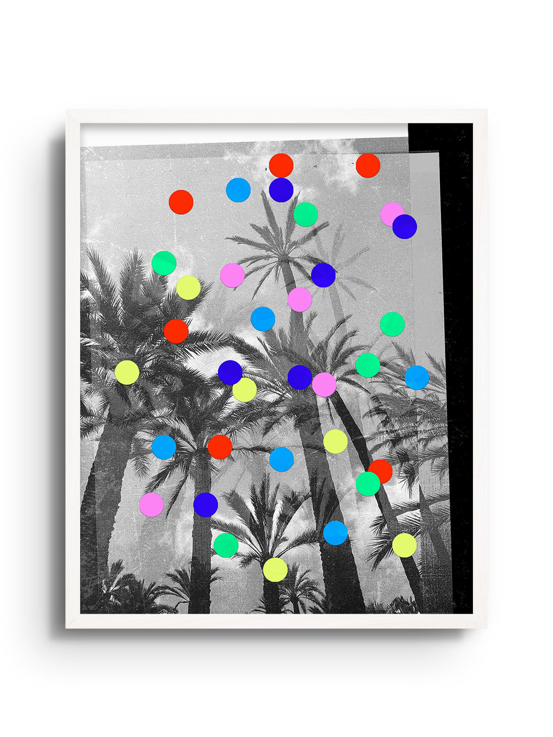 Confetti Palms - Sian Roper