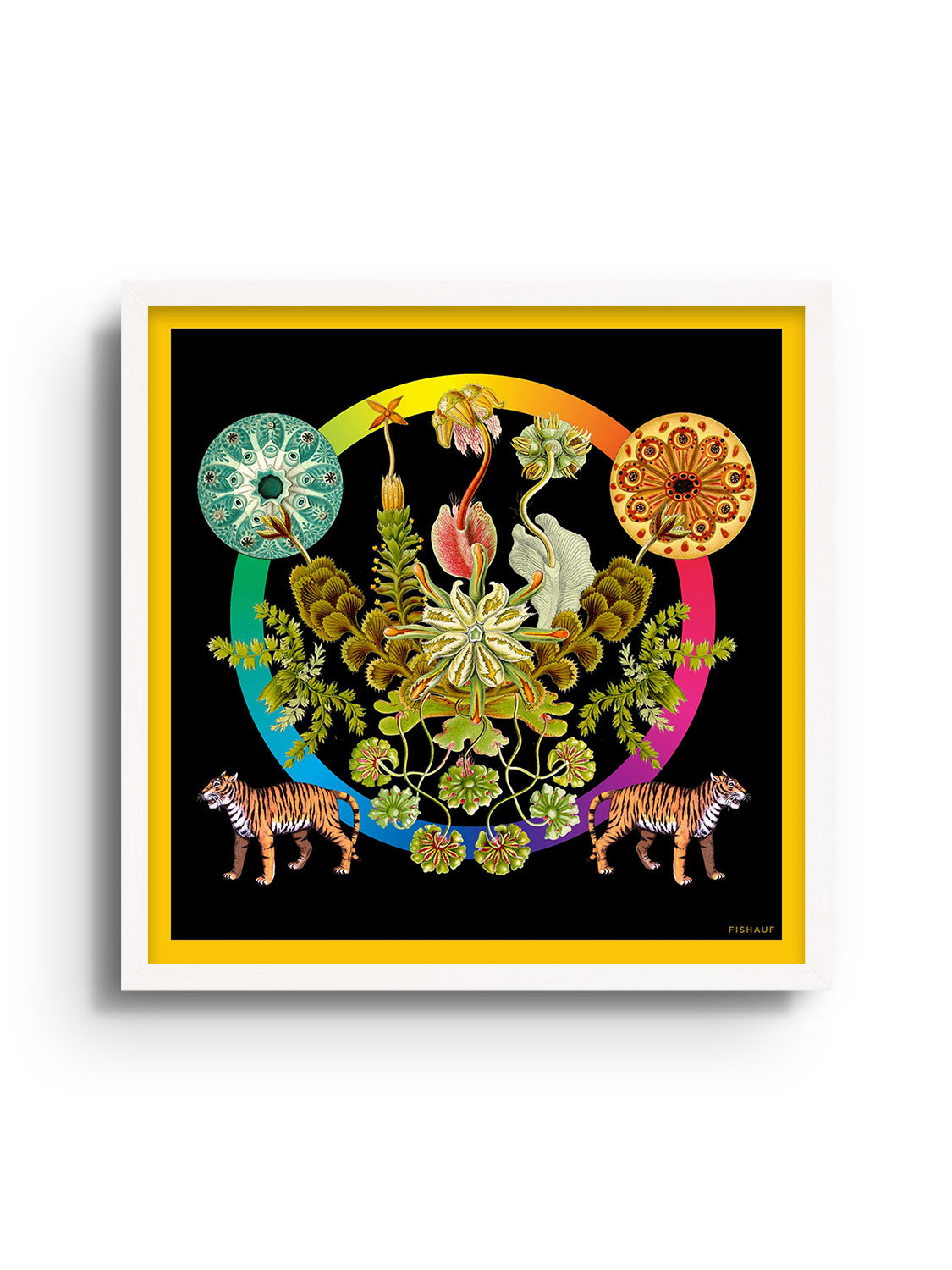 FLORA - Louis Fishauf