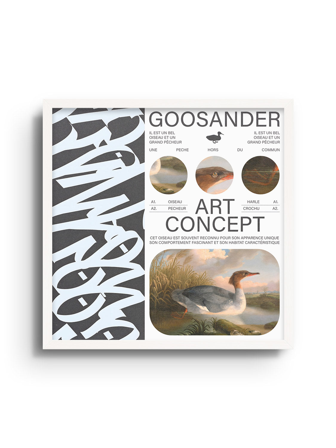 Goosander - Matéo Mace