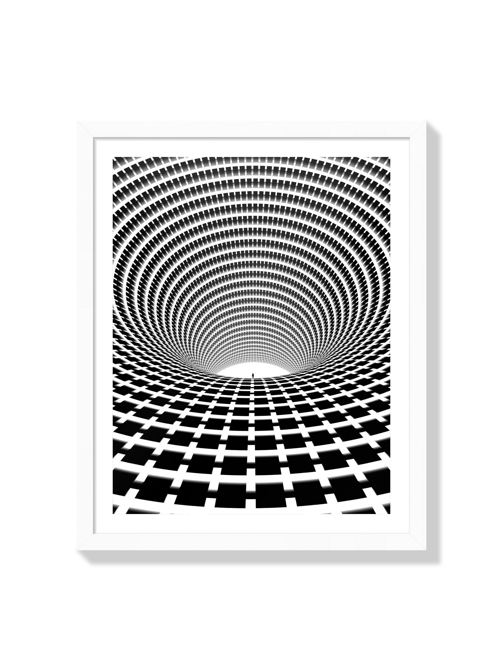 Push/Pull - Michael Strevens - White Frame |frame=White Frame|