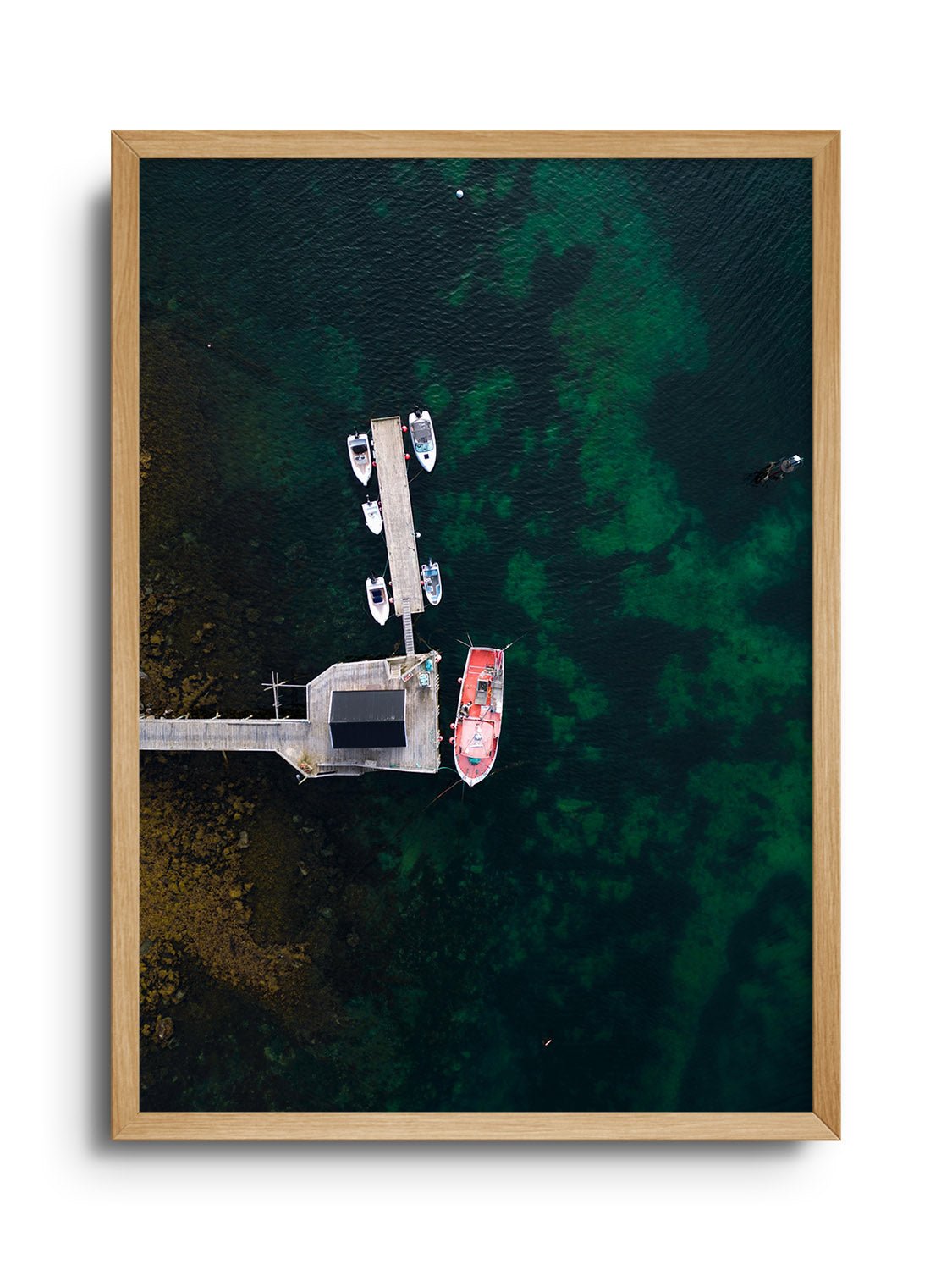 Reine IV - Victoria Benjafield