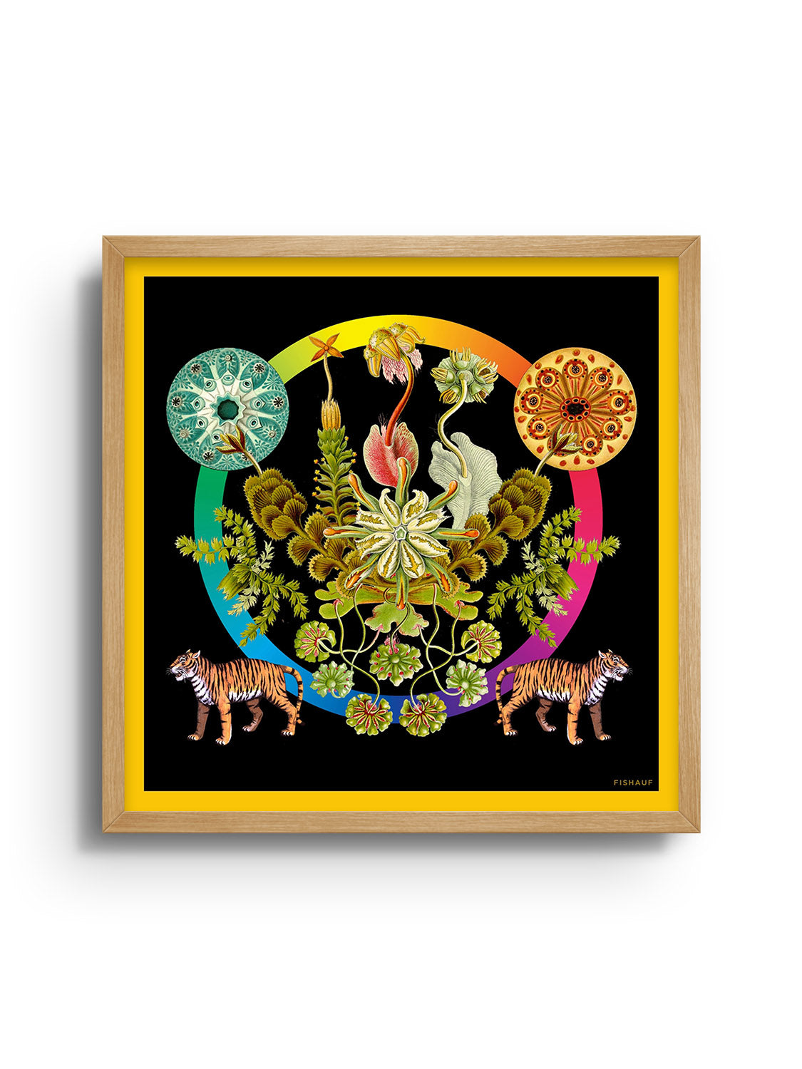 FLORA - Louis Fishauf