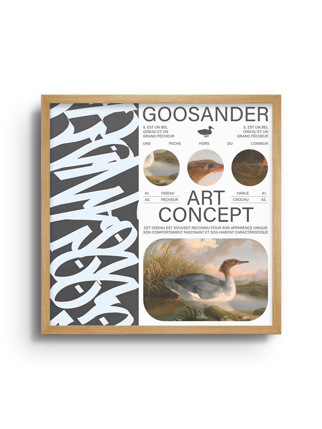 Goosander - Matéo Mace