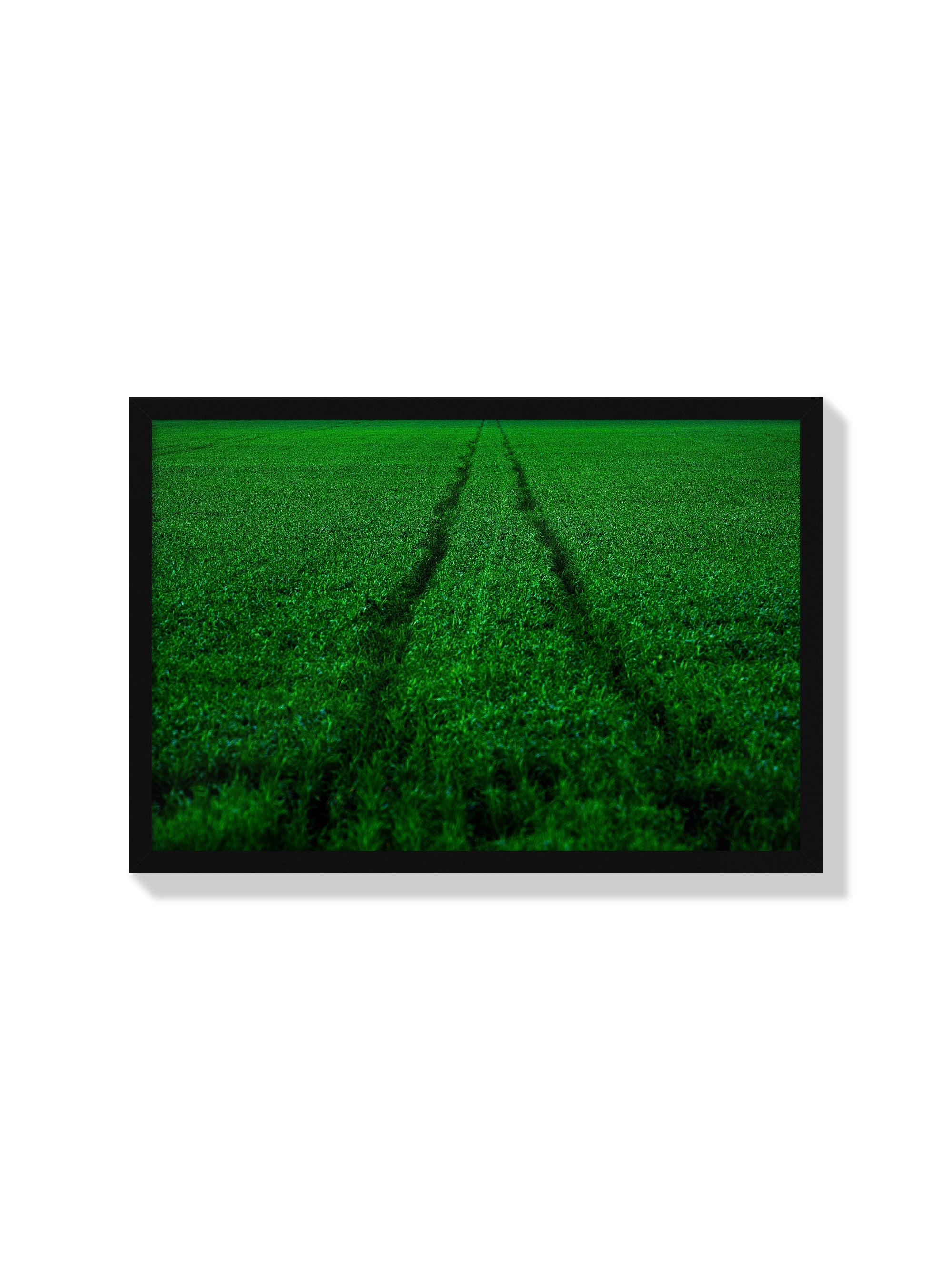 Track and Field - Tal Paz-Fridman - Black Frame |frame=Black Frame|