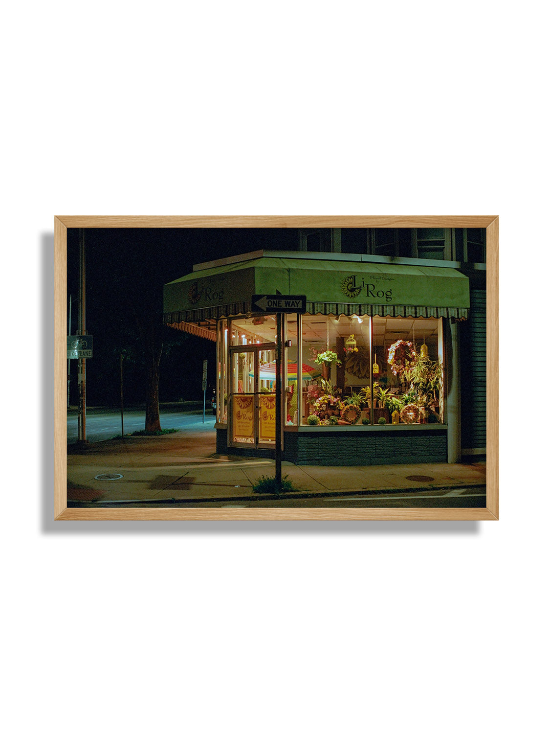 LiRog - Leland Foster