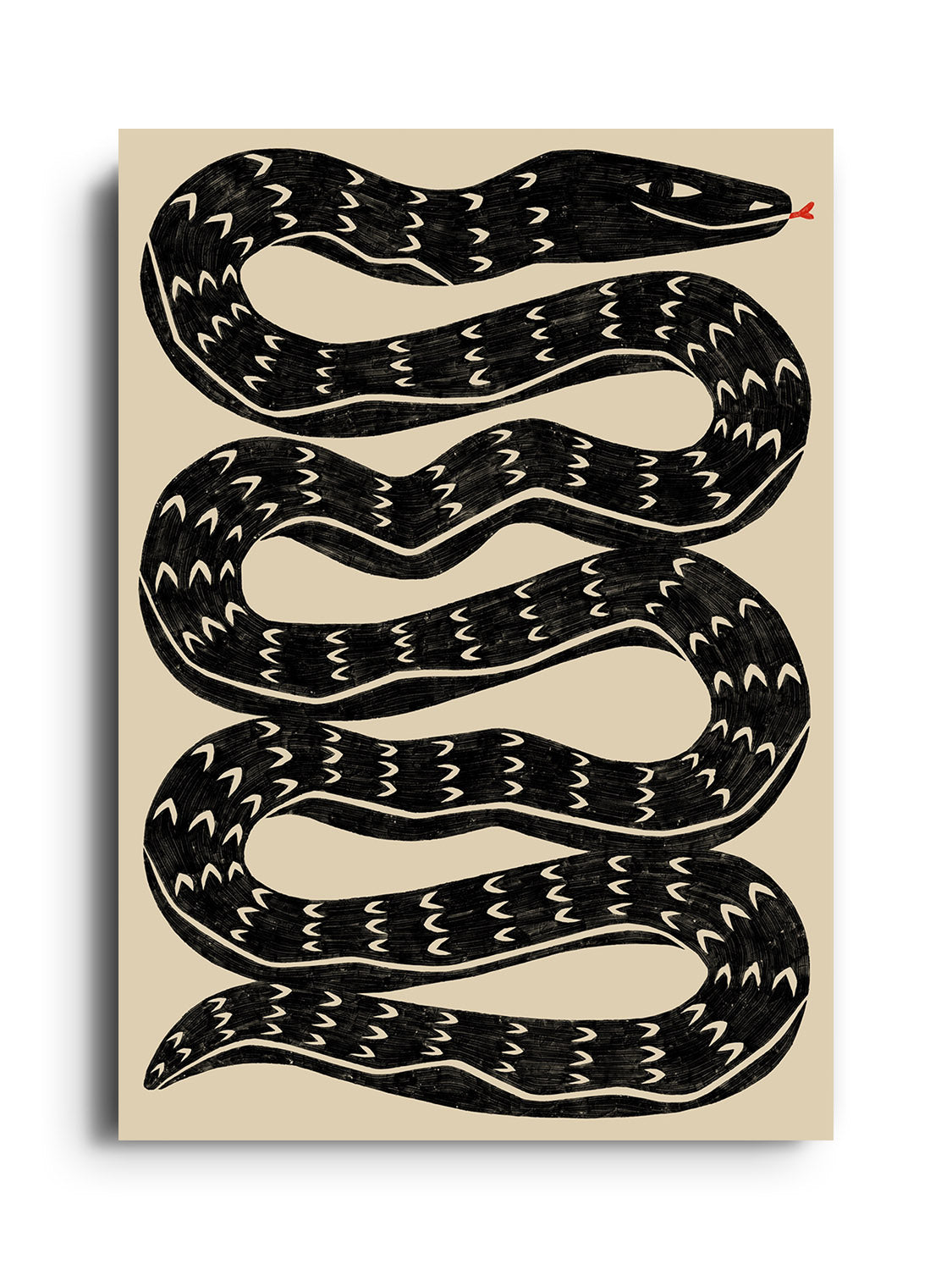 Snake - Black - Manne Jalilian