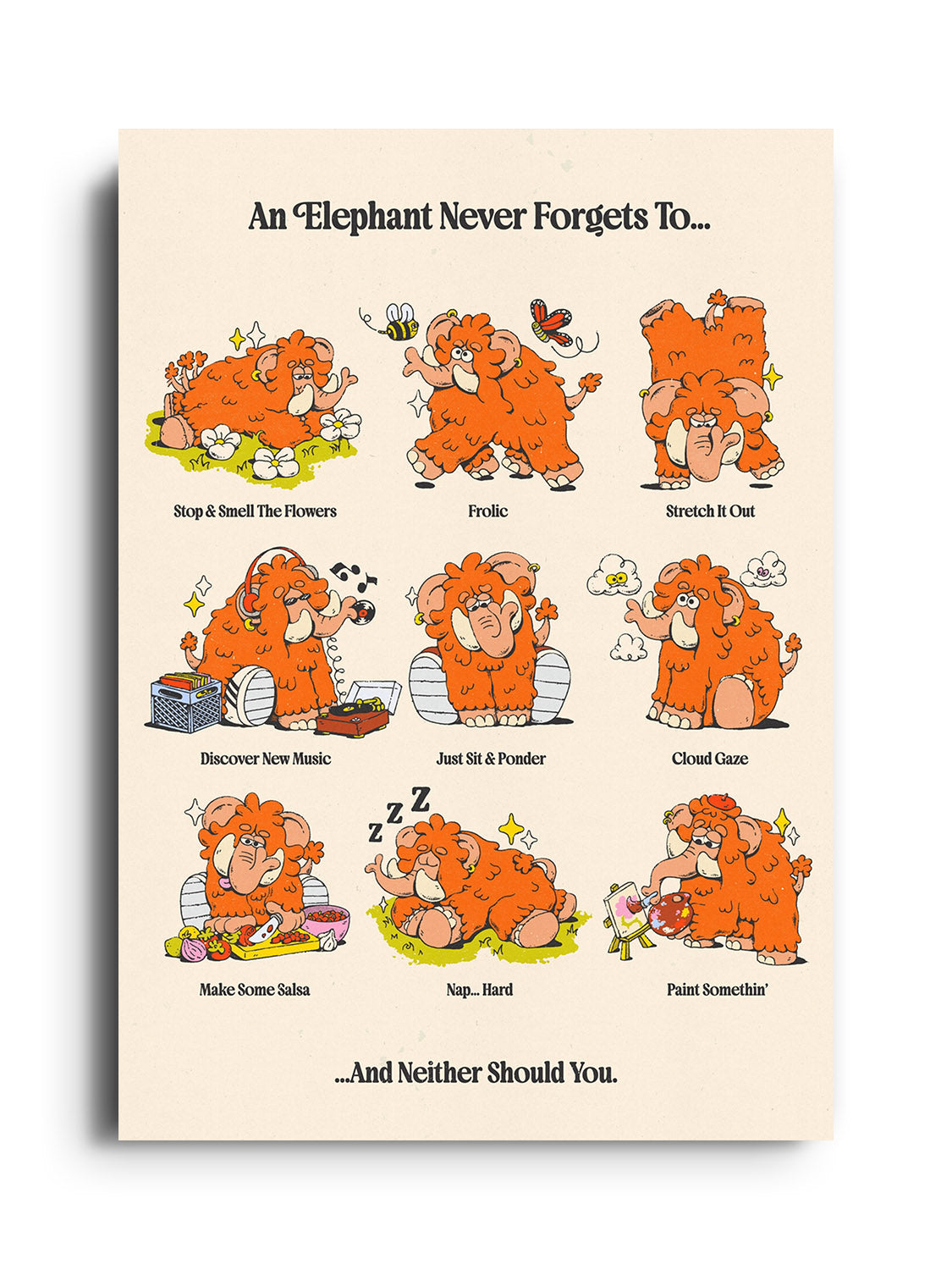 An Elephant Never Forgets - My Sunbeam